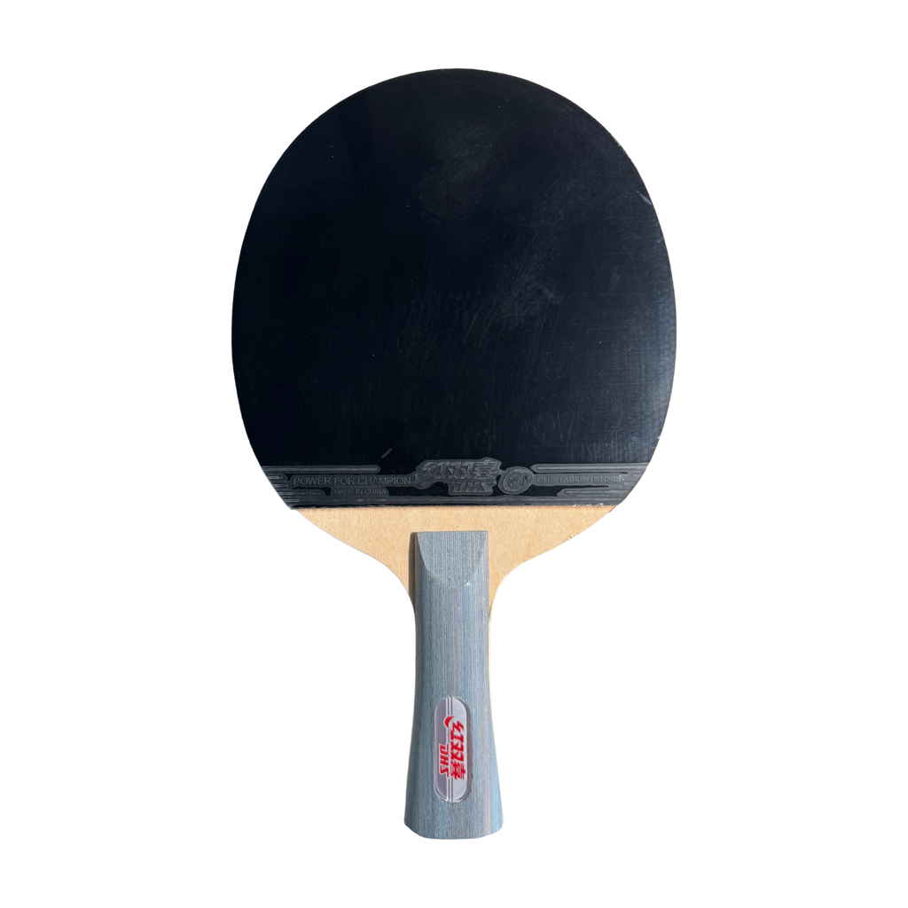 DHS Type III Table Tennis Racket Set