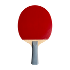 DHS Type III Table Tennis Racket Set